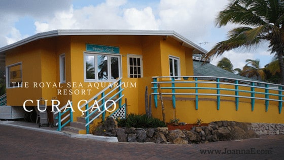 Review: A Solo Stay at The Royal Sea Aquarium Resort Curacao